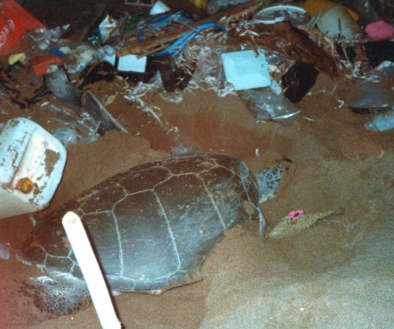El plástico ahoga a las tortugas marinas