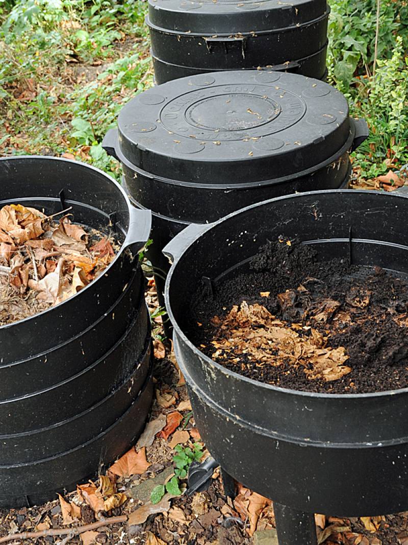 Cubos de residuos organicos para hacer compost.