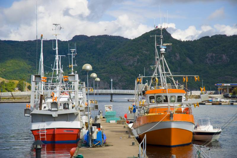 Barcos pesqueros