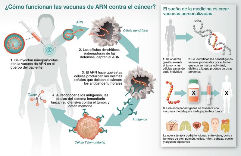 Vacunar a los pacientes para combatir sus tumores 