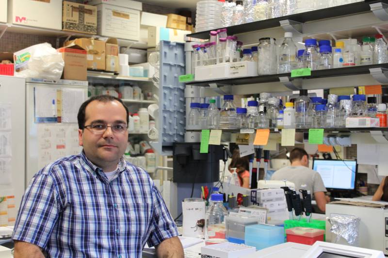"Estudiamos las bacterias que están en el origen evolutivo de la muerte celular programada"