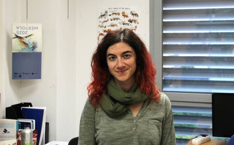 Isabel