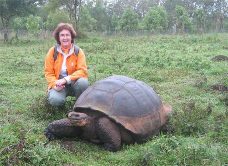 M. Teresa Tellería