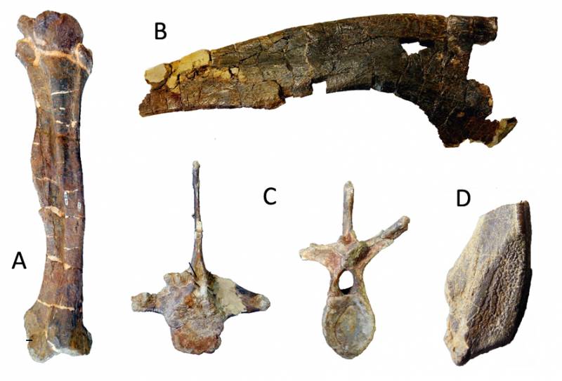 El primer dinosaurio lambeosaurino de Europa vivió en los actuales Pirineos