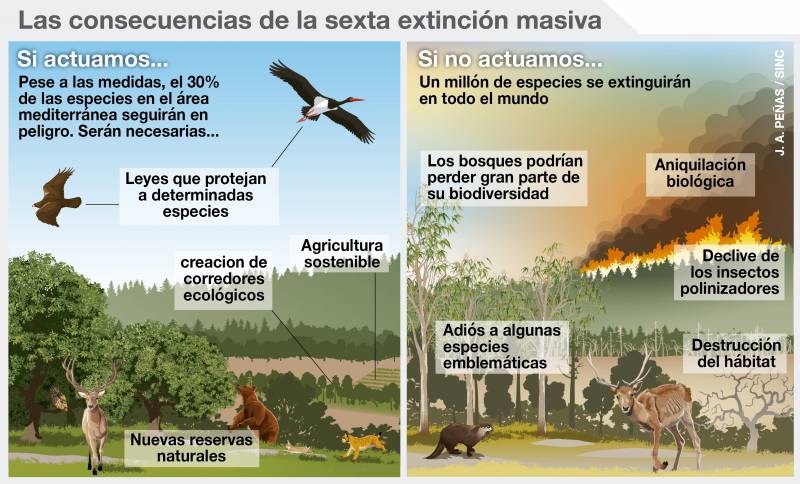 Las consecuencias de la sexta extinción masiva