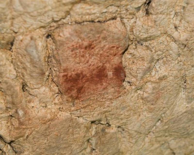 Motivo pictórico de la cueva de El Buxu. Imagen: Antonio Hernanz.