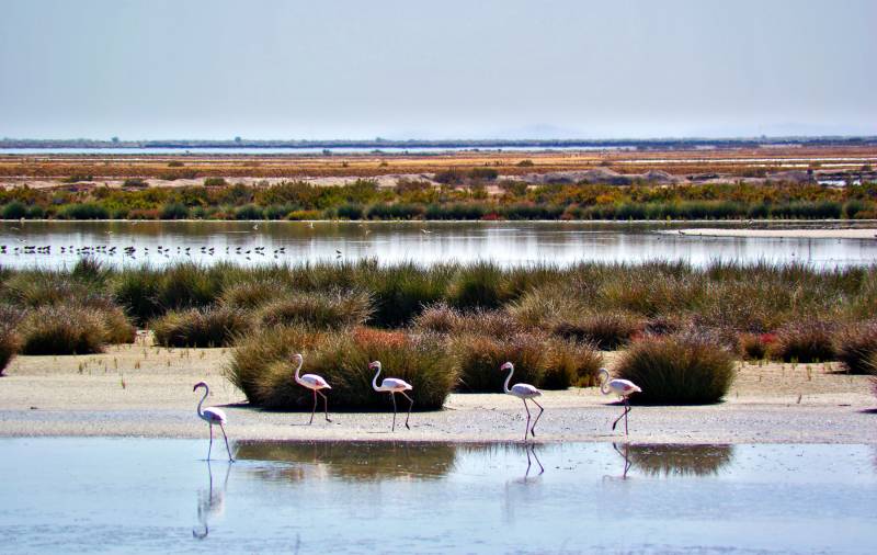 Doñana entra en la Lista Verde de la UICN por su buena gestión 