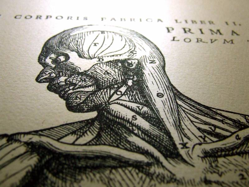 Los manuales médicos muestran el cuerpo del hombre blanco heterosexual como un “modelo universal”