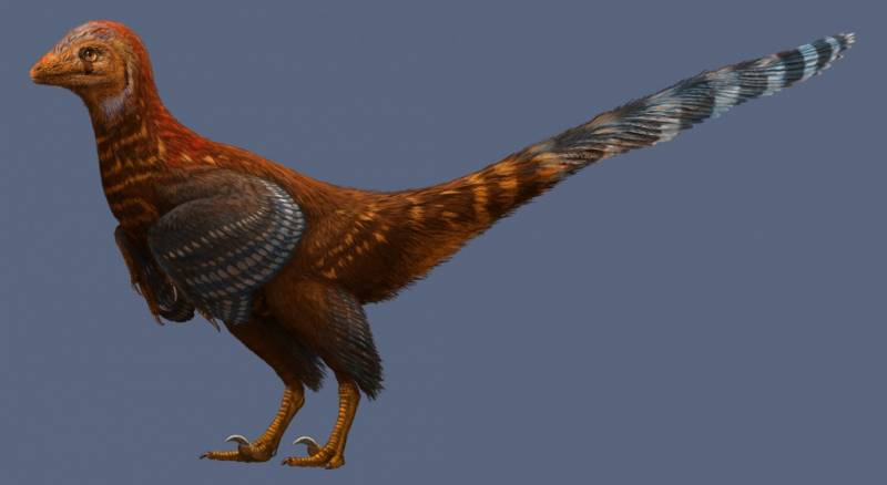 Hallan un nuevo dinosaurio parecido a un pájaro y con plumas modernas