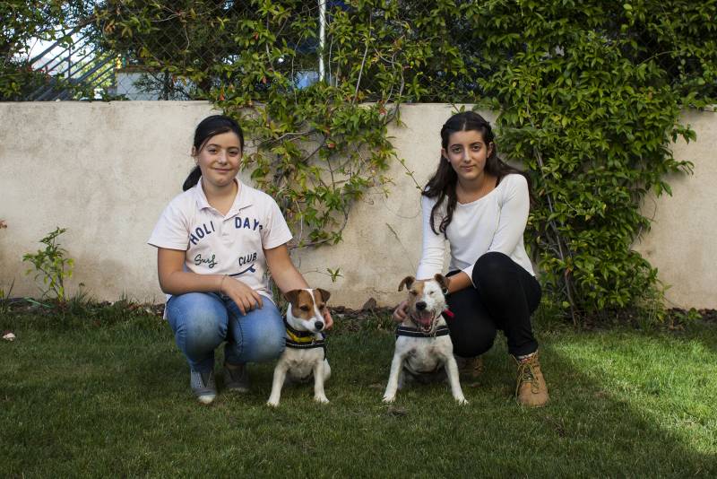 Lupa y Moka, perras enfermeras