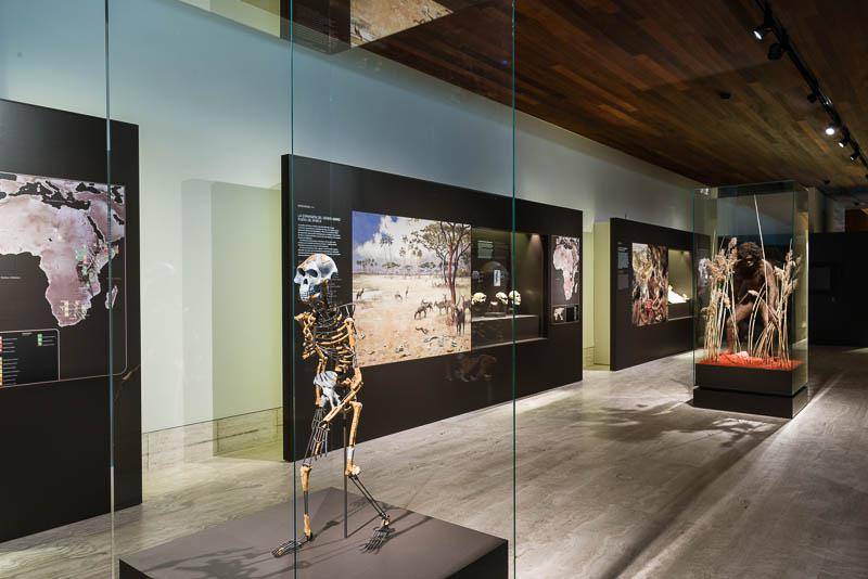 Reabre el Museo Arqueológico Nacional