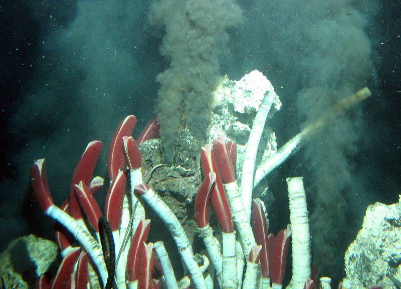 Remolinos marinos de 2.500 metros de profundidad ‘agitan’ los fondos oceánicos