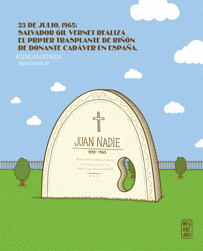 El primer riñón del muerto al vivo