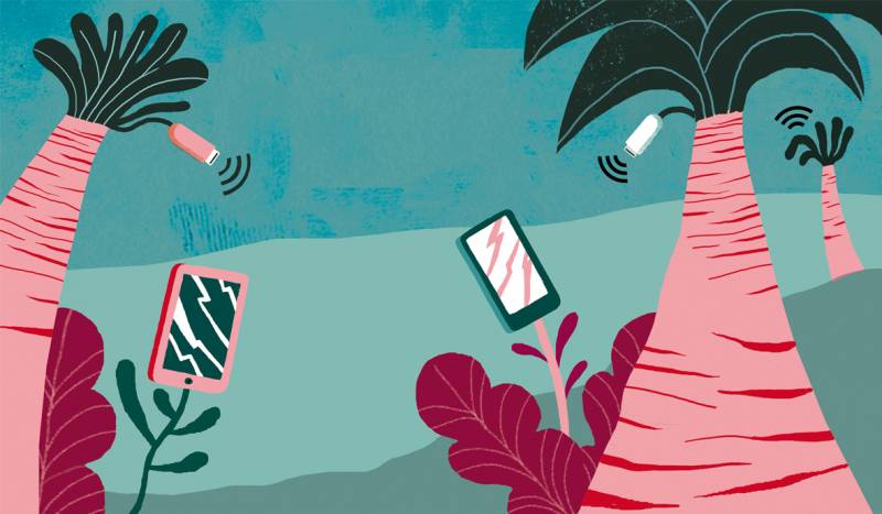 Las comunicaciones secretas de las plantas