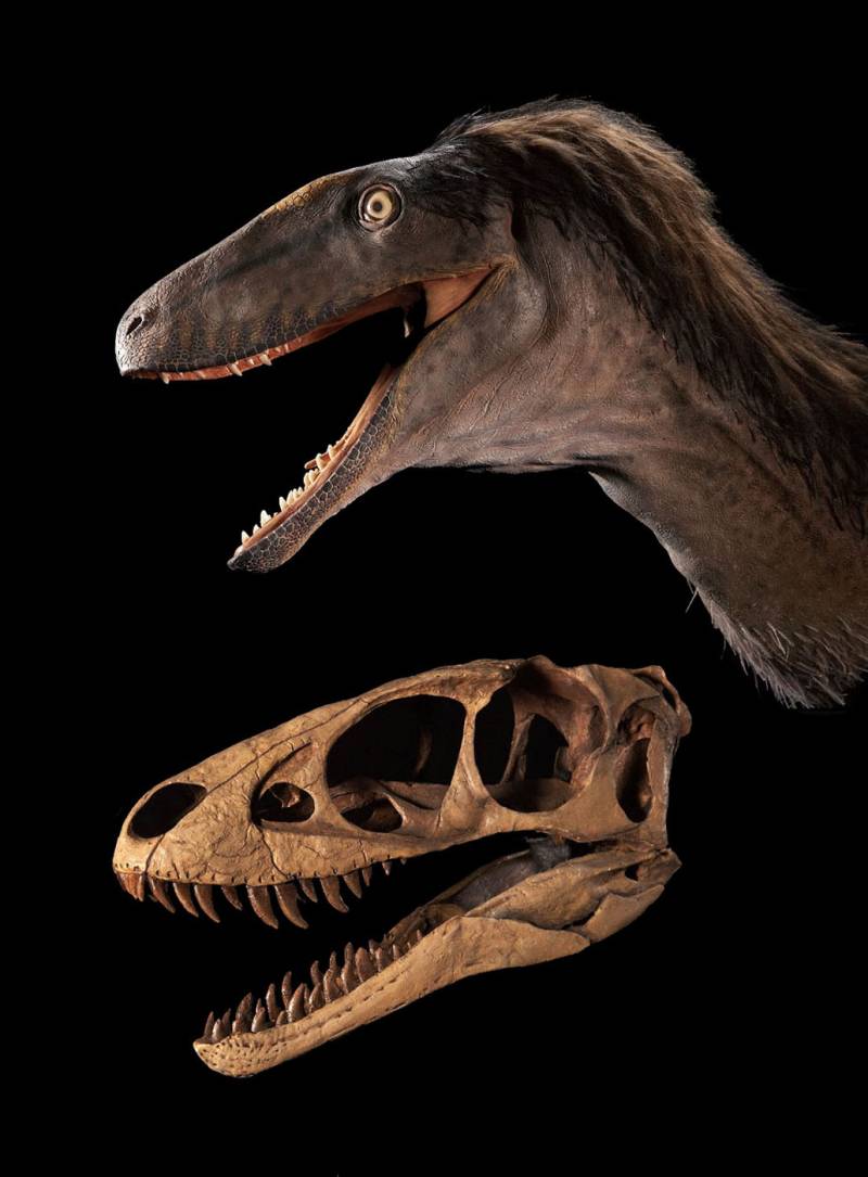 El antecesor del tiranosaurio era 100 veces más pequeño