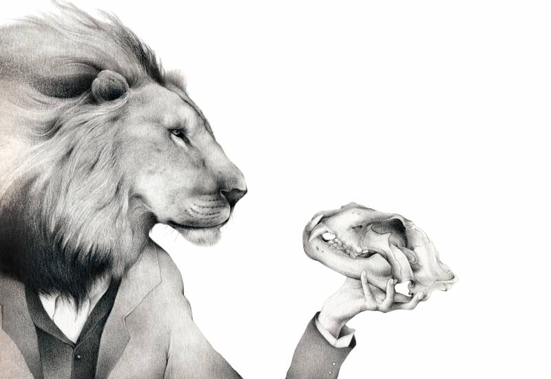 Ilustraciones que nos regala la ciencia