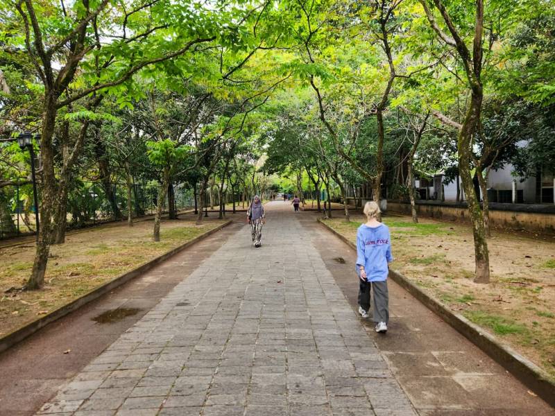 La prevención contra la obesidad comienza por el diseño de las ciudades
