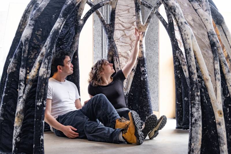 Los hogares del futuro pueden estar construidos a base de hongos