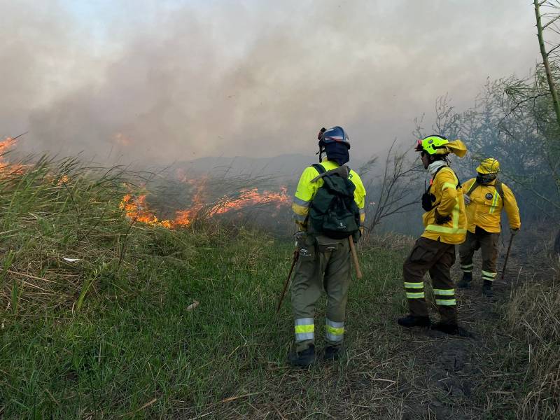 No son superhéroes: bomberos forestales piden apoyo psicológico frente al estrés
