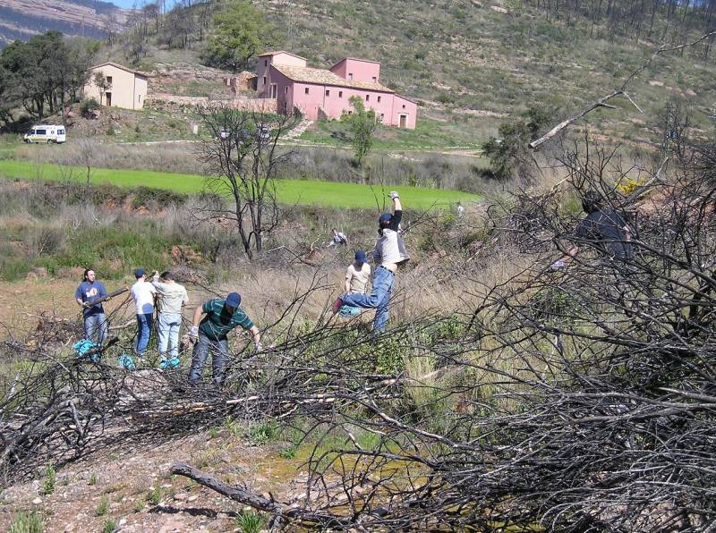 Recuperar la vida después del incendio