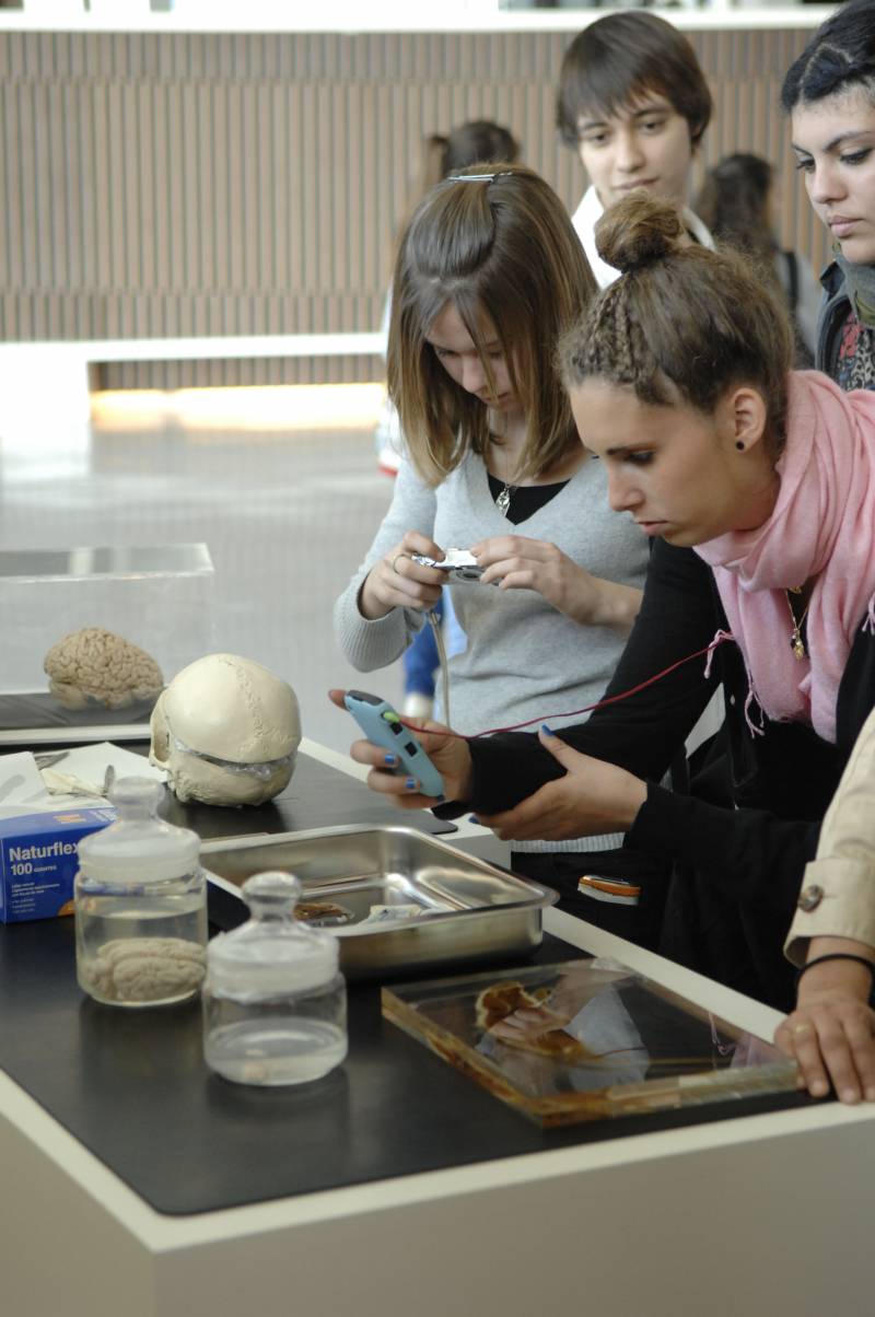 Estudiantes fotografían un cerebro plastinado.