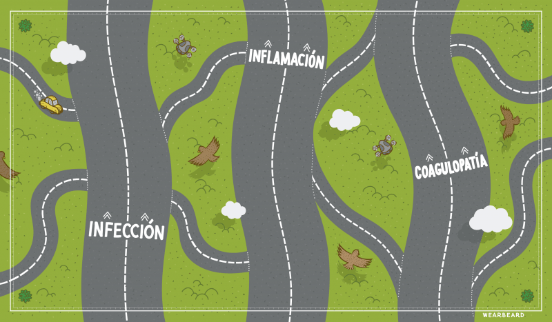 Un viaje por las carreteras principales y secundarias del nuevo coronavirus