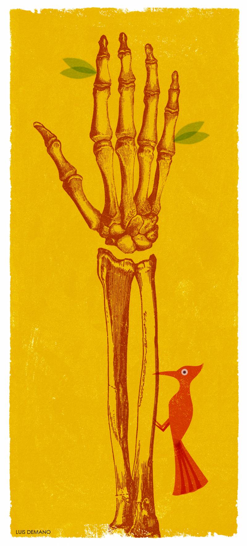 Día mundial de la Radiología