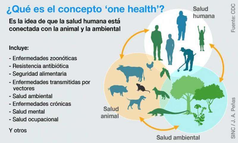 Poster que ilustra el significado de "one health"