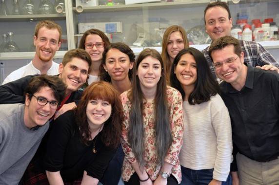 El grupo Evo-Devo-Genomics de los profesores Cristian Cañestro y Ricard Albalat es uno de los pocos equipos científicos del mundo que estudian el modelo de Oikopleura dioica desde la perspectiva de la biología evolutiva del desarrollo. / UB