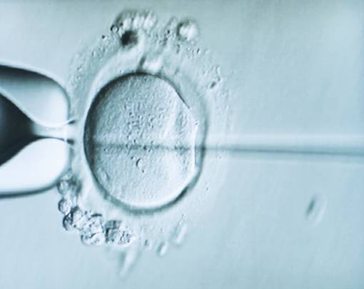 En España se llevan a cabo más de 166.000 tratamientos de fertilidad al año. / IVI