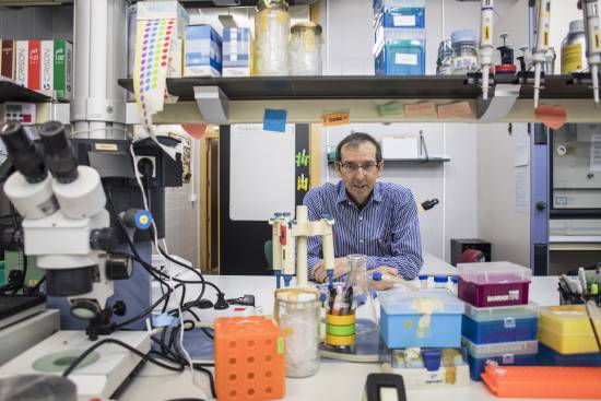 José Manuel García Verdugo en su laboratorio de la Universidad de Valencia. / SINC