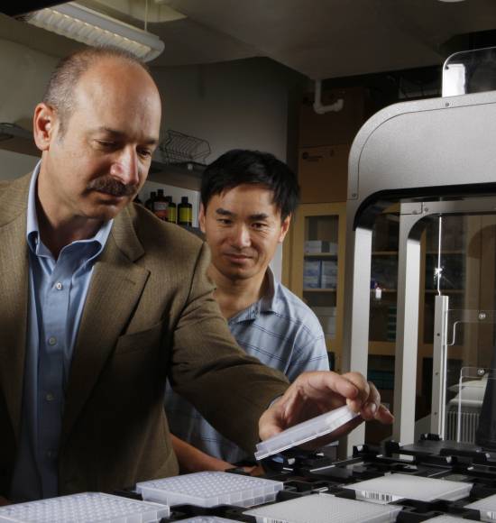 Bruce Beutler junto al científico Yu Xia. Imagen: Michael Balderas, cortesía del Instituto de Investigación Scripps.