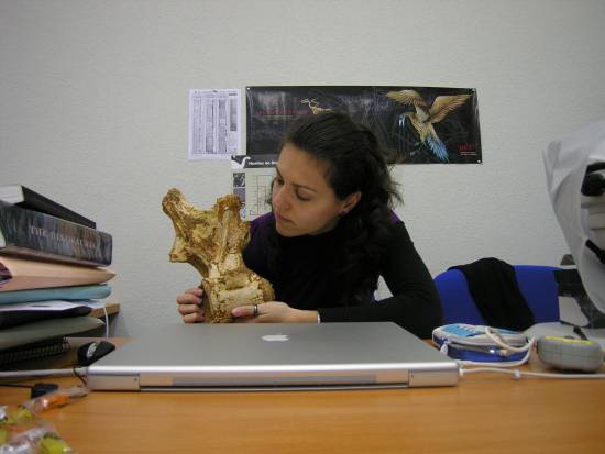 Verónica Díez Díaz observando una vértebra dorsal del saurópodo cretácico ibérico Lirainosaurus en la Universidad del País Vasco. / UPV/EHU