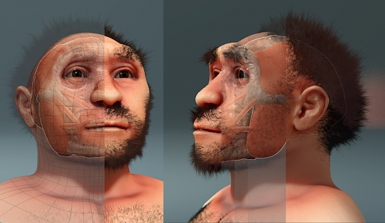 Reconstrucción facial forense de Homo erectus pekinensis. / Cícero Moraes / Wikipedia