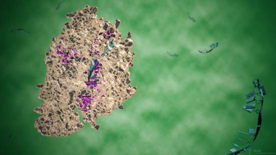 Ilustración del complejo CRISPR Cas12a, antes llamada Cpf1. / llusciences