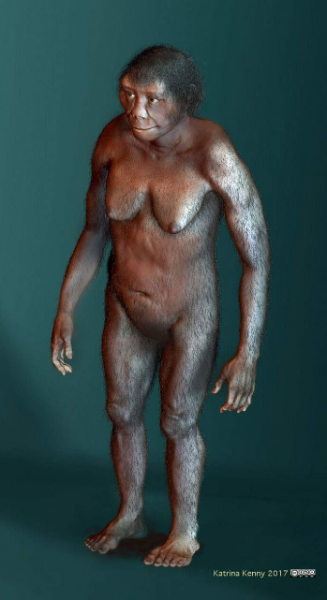 Impresión artística de cuerpo entero de Homo floresiensis. / Katrina Kenny, SA Museum