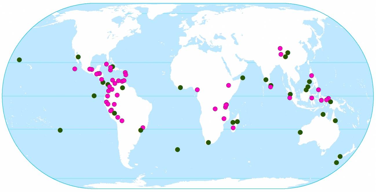 Distribución mundial de las áreas protegidas
