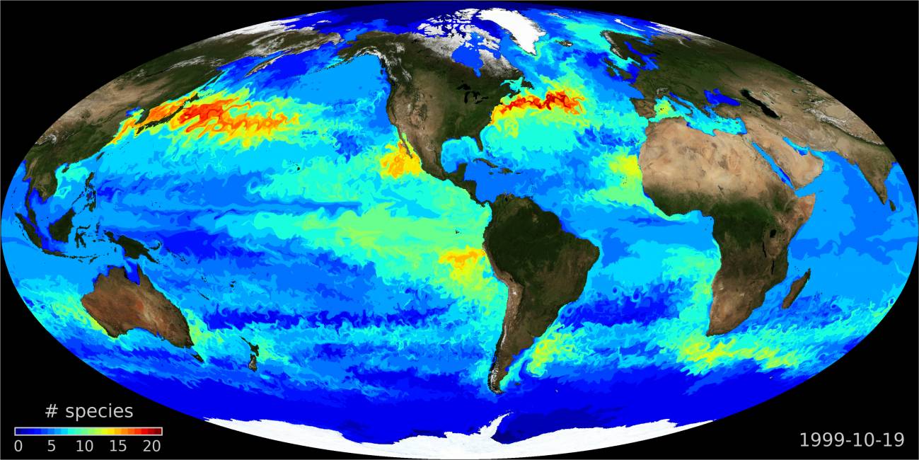 Presentan el mapa de distribución de los microorganismos marinos