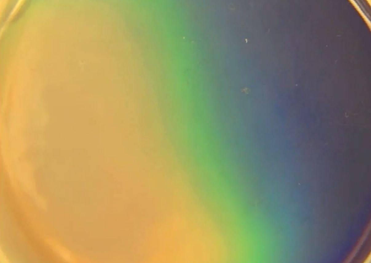 Como los camaleones, un nuevo material sintético cambia de color