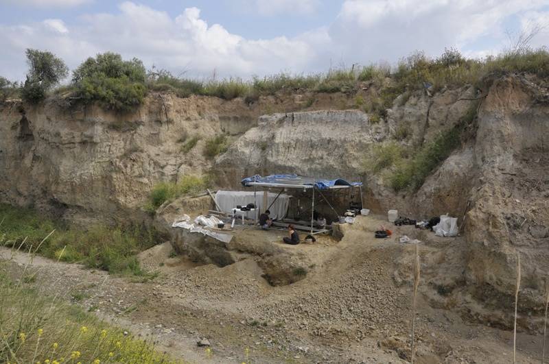 Hallada una 'letrina' de hienas de hace un millón de años en Tarragona