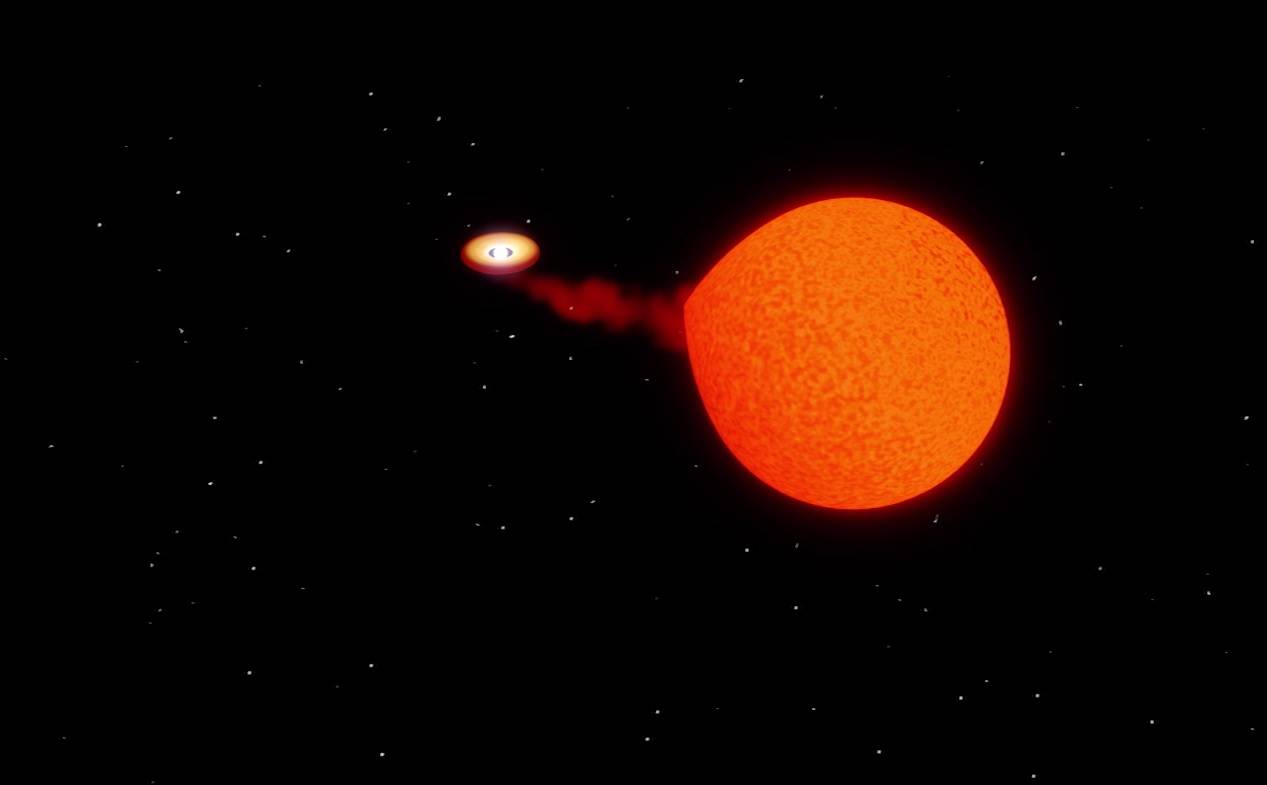 Hallan una enana blanca poco común en la Vía Láctea residuo de una supernova