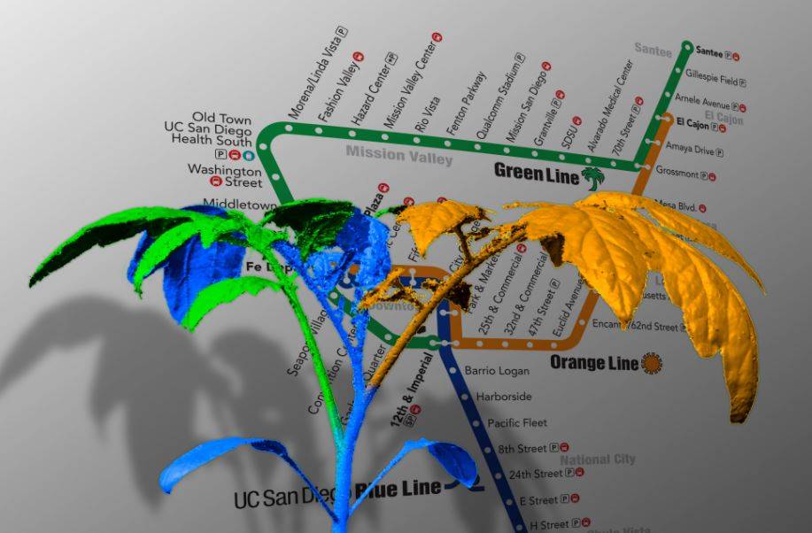 Las plantas ‘mimetizan’ la arquitectura de las redes de metro