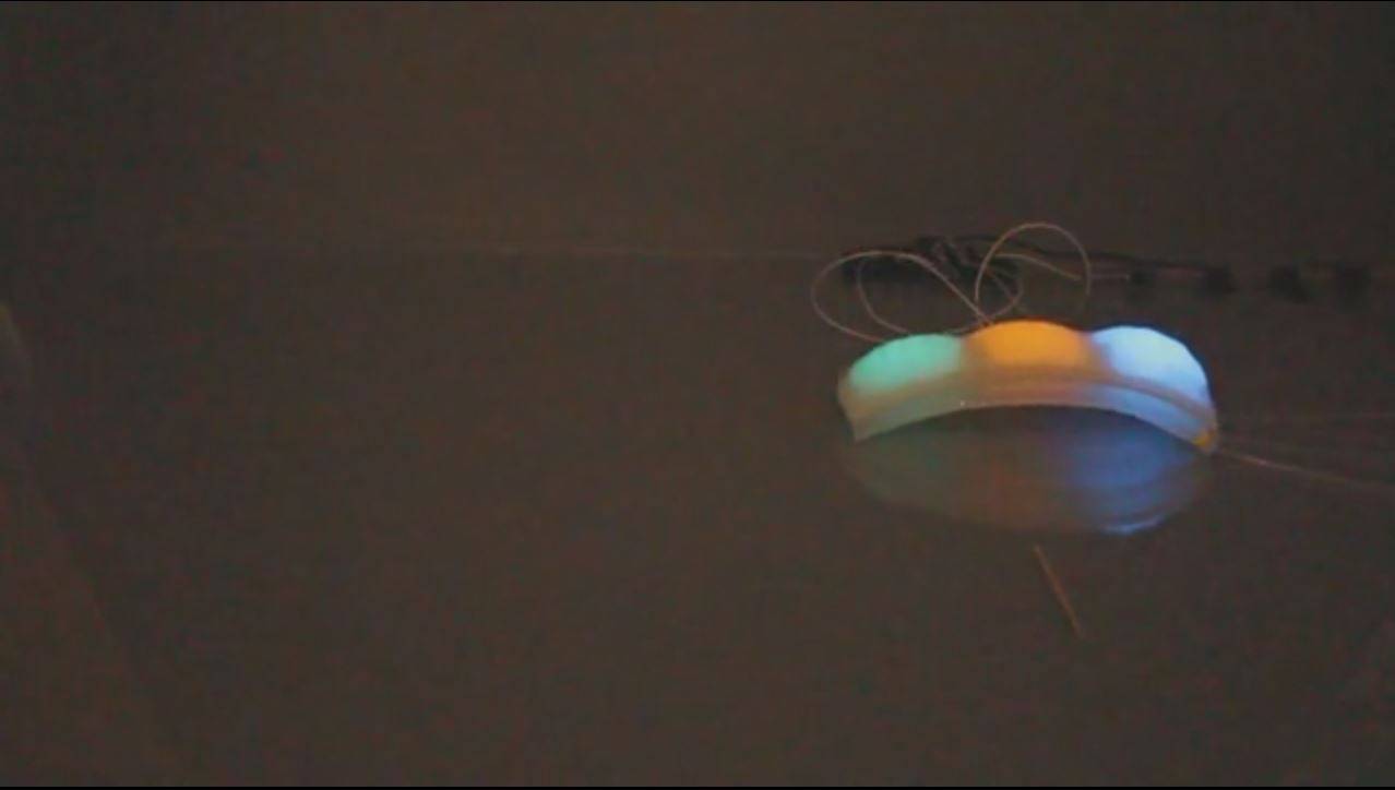 Un robot con 'piel de pulpo' luminiscente