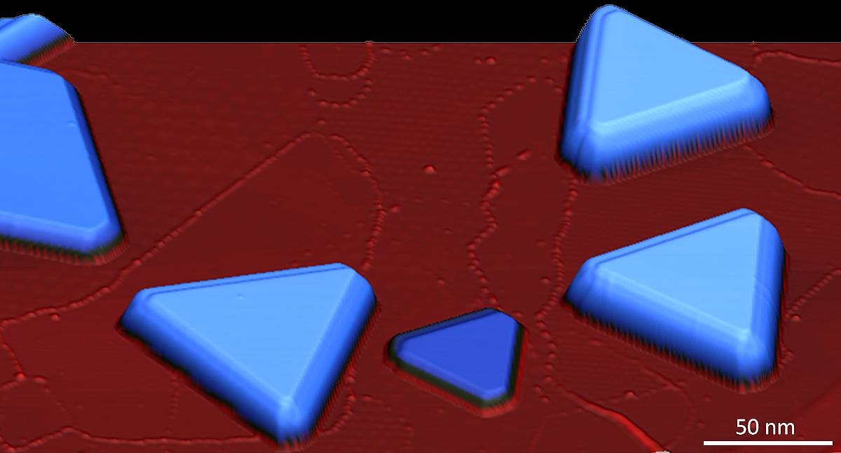 Imagen de microscopía de efecto túnel de una de las muestras de grafeno utilizadas en el experimento. Las islas de plomo de forma triangular (en azul) se forman sobre la superficie del grafeno (en rojo), induciendo la superconductividad en este material. En la imagen también se observan varias fronteras de grano, que introducen momentos magnéticos en el grafeno. La imagen está medida a -270ºC / Cortés-del Río et al.