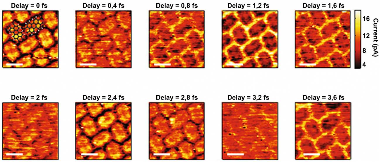 Fotogramas mostrando la evolución de la densidad electrónica en moléculas de PTCDA / Garg et al.