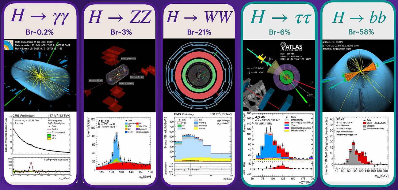 Bosón de Higgs (H) desintegrándose en distintos modos: dos fotones, dos bosones Z, dos bosones W, dos taus y dos quarks botón. El Br es el branching ratio, el porcentaje de probabilidad en el que el H se desintegrará en dicho canal. / CMS y ATLAS (CERN)