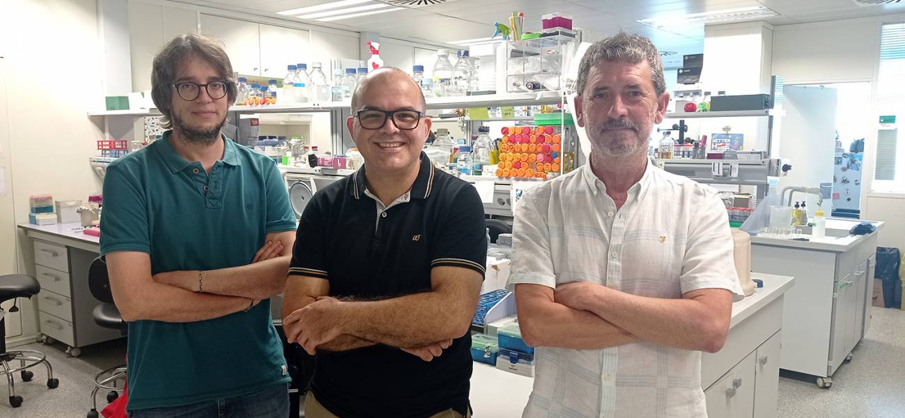 Investigadores del Instituto de Biología Molecular y Celular de Plantas participantes en el estudio. / UPV-CSIC