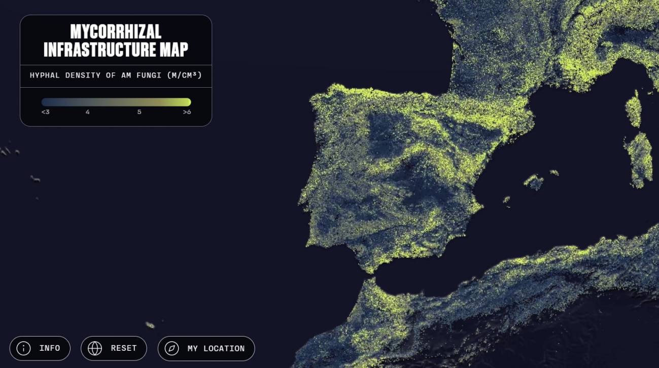 Captura de pantalla del mapa de la red de hongos micorrízicos en España