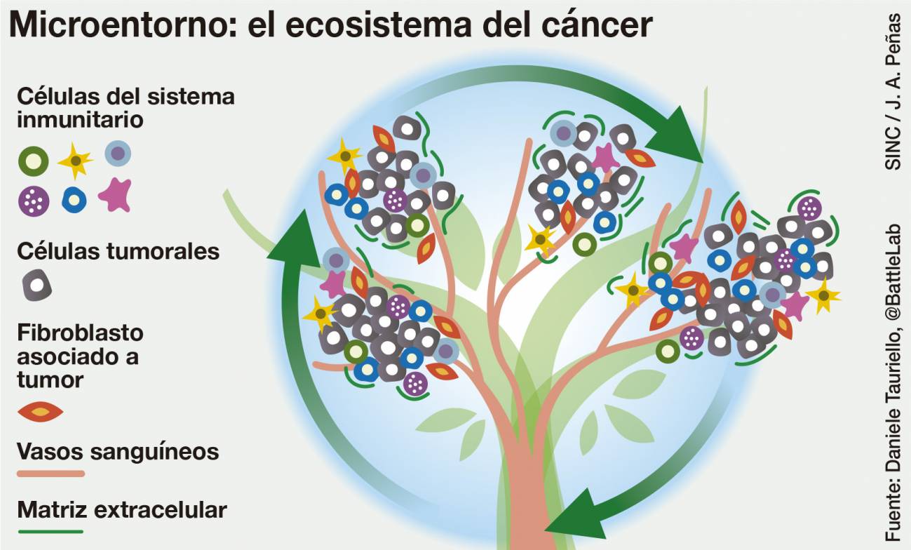 Ecosistema tumoral