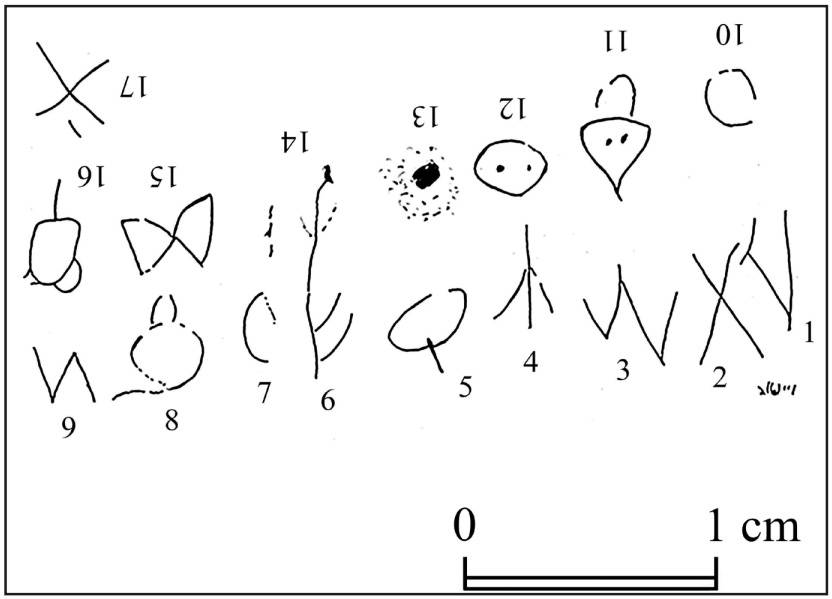 Dibujo de la inscripción en el peine para piojos. / Daniel Vainstub et al./Jerusalem Journal of Archaeology